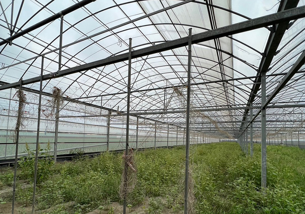 p-img-2 簡固溫室