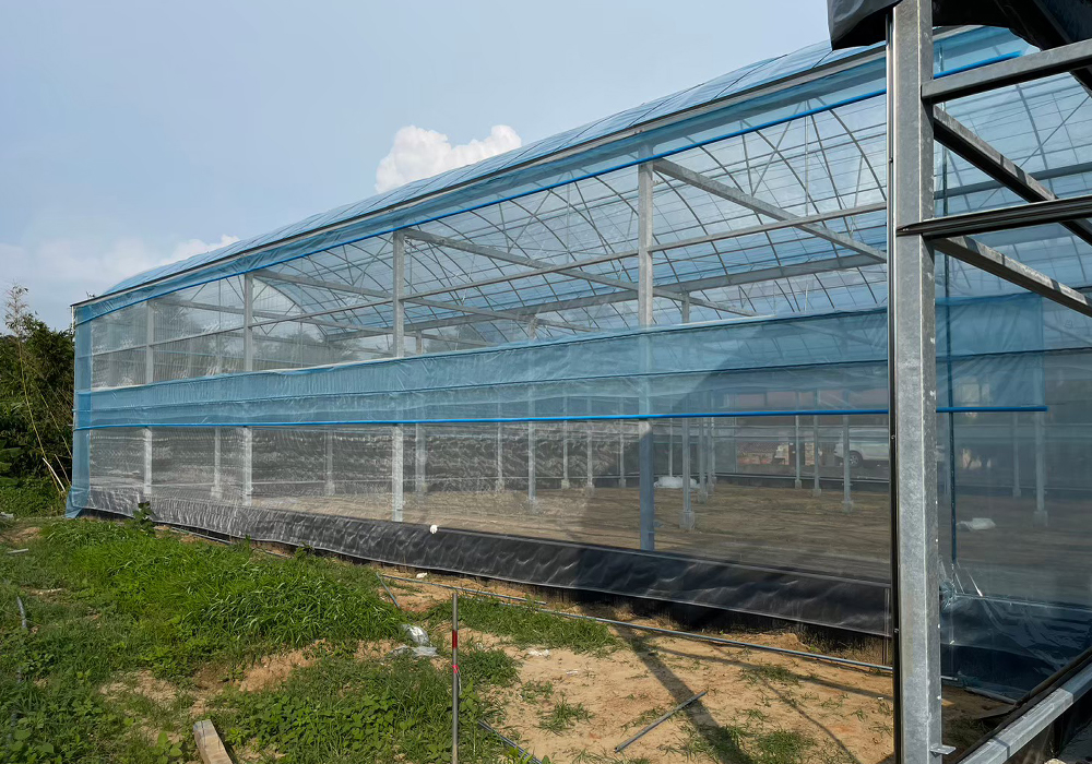 新竹．寶山農場-實績照片