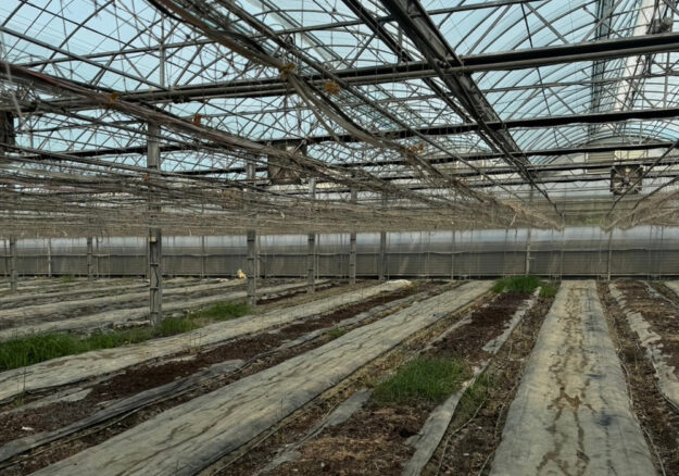 土庫・石廟里農場-實績照片