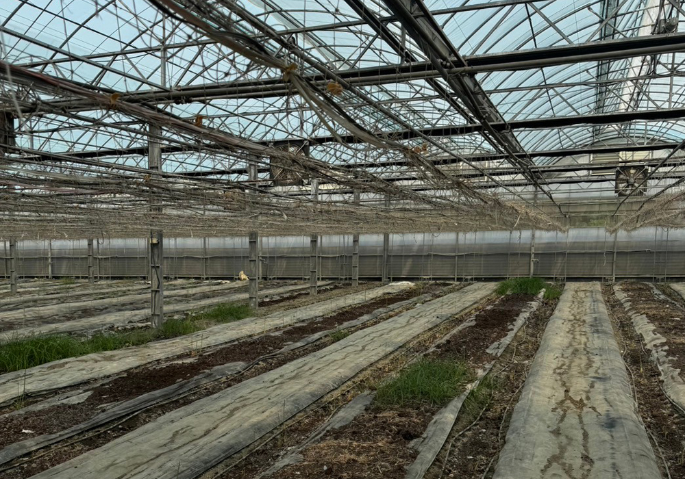 土庫・石廟里農場-實績照片