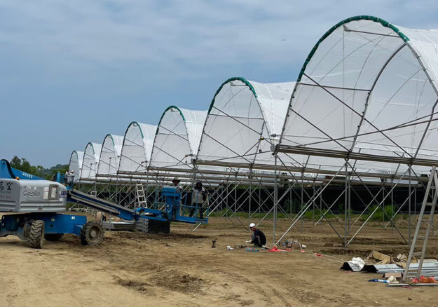 山丘藍．自己種嘉義農場-實績照片